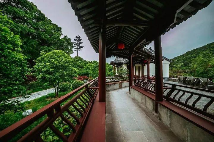 开启你的知识之旅,加入郑板桥这首新竹写出了新竹什么的特点?知识星球平台